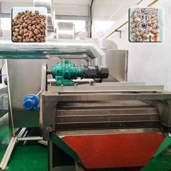 連續(xù)式五香花生米生產線